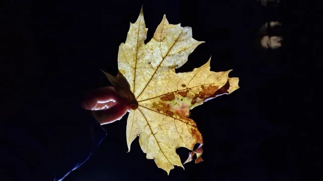 О Гадаринском бесноватом